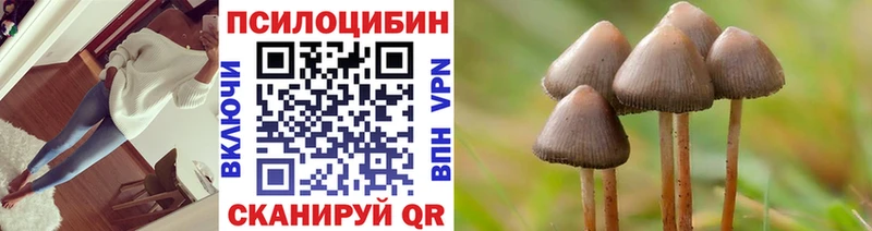 дарк нет Telegram  Себеж  Галлюциногенные грибы Psilocybe 